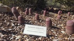 Arizona-Sonora Desert Museum