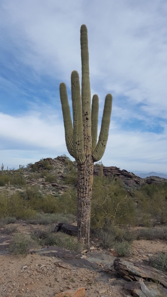 Hiking South Mountain