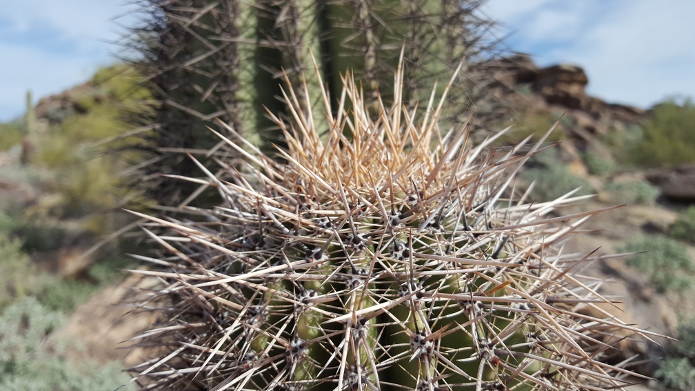 Hiking South Mountain