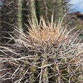 Hiking South Mountain