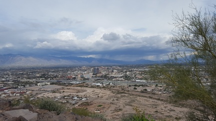 Desert Rains