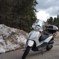 Scooter is Cold Atop Mt. Lemmon