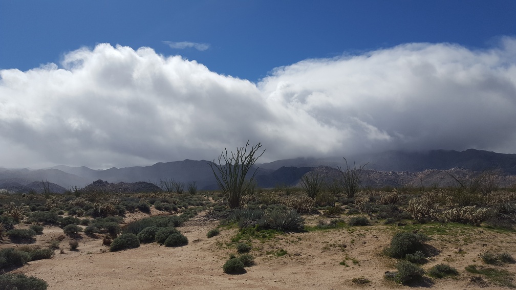 Goat Canyon Hike