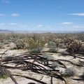 Goat Canyon Hike