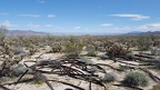 Goat Canyon Hike