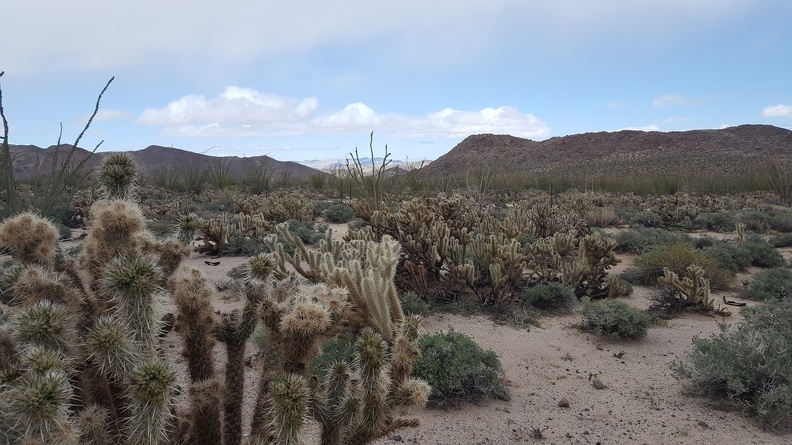 Goat Canyon Hike