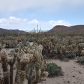 Goat Canyon Hike