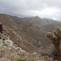 Goat Canyon Hike