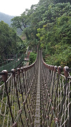 Rope Bridge