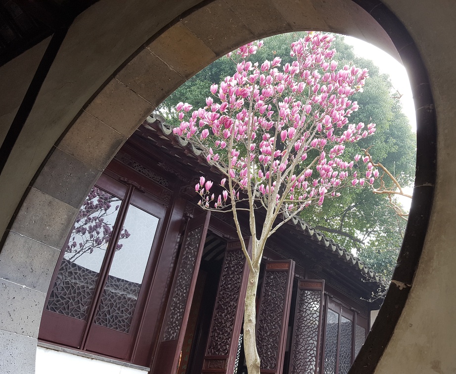 Spring in the Lion Grove Garden