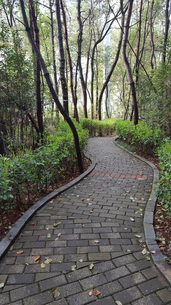 One of the small parks scattered throughout the high-rises of Jingdezhen. 2017-03-23 08.53.11.jpg