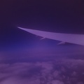 The Purple Plane