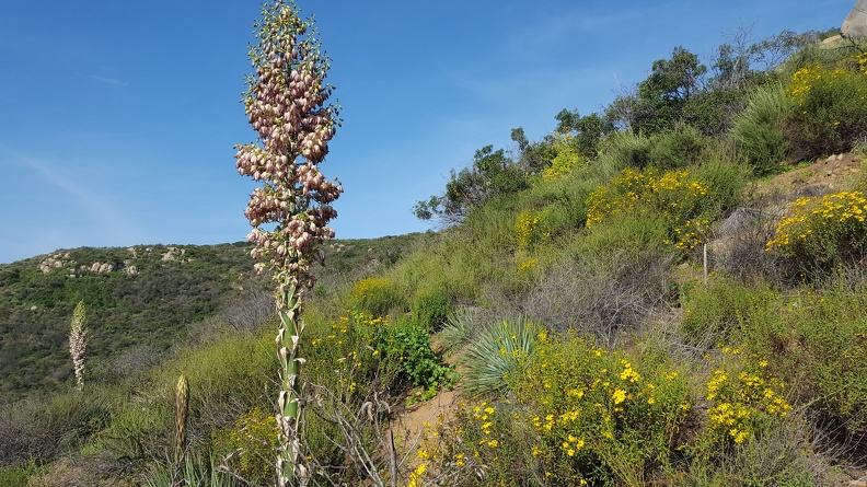 Mission Trails Regional Park