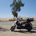 Scooter at Imperial Dunes