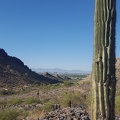 Phoenix from Piestewa Peak Recreation Area