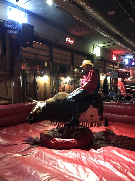 Mechanical Bull? Karoake? Must be gearing up for a Nashville wedding! IMG_0527.JPG
