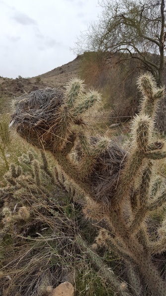 2018-03-10 10.12.40.jpg