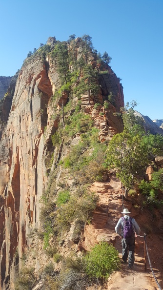 Angel's Landing Trail