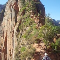 Angel's Landing Trail