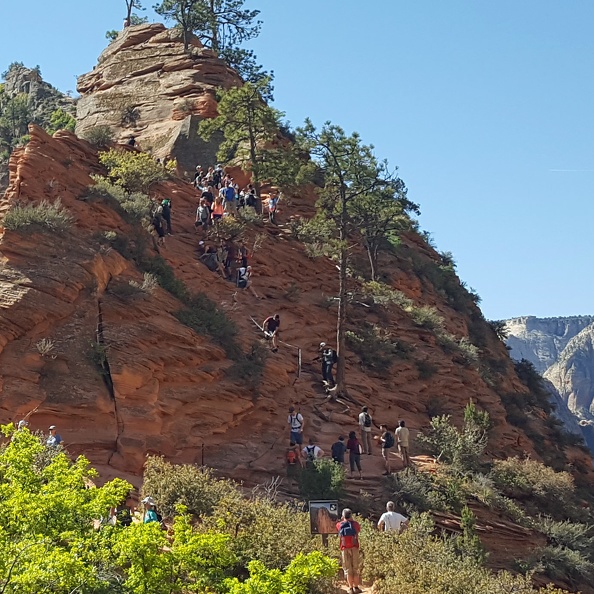 Fortunately we only caught a little of this on our way out. A lot of The Chain on Angel's Landing can only be done one at a time, so two way traffic is out. You end up with giant queues of both ends and people clinging to the cliff to try and find places to wait. 2018-05-04 10.30.26 crop.jpg