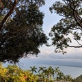 Four Mile Beach from Trinity Bay Lookout