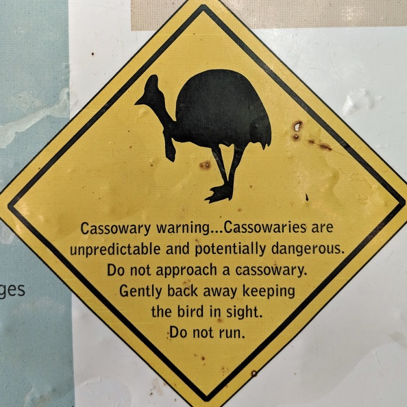 Danger: Cassowaries