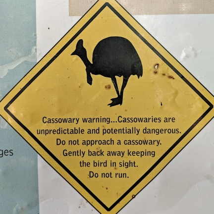 Danger: Cassowaries