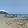 Shallow Reef
