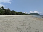 Rainforest Meets Beach