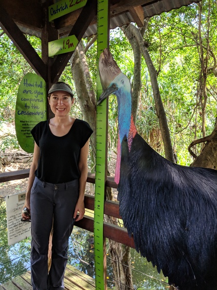 You Must Be This Tall To Ride The Cassowary