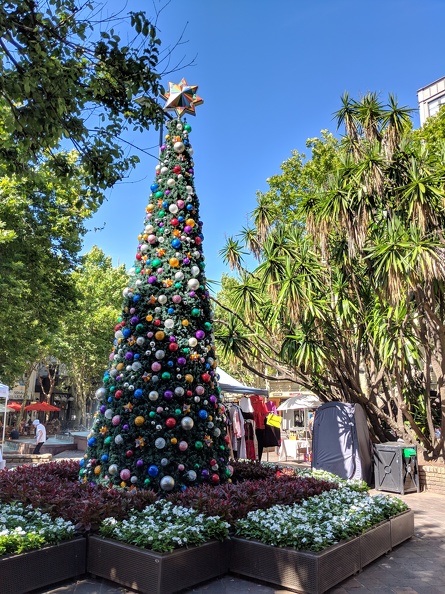 Christmas Time at the Potts Point Market