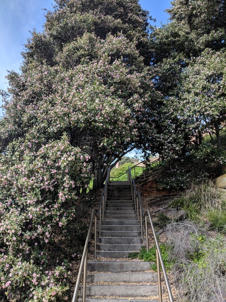 Coastal Walk