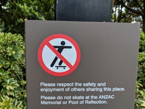 Warning: Do Not Skate In The Pool