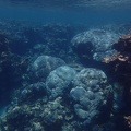 Snorkeling the Great Barrier Reef
