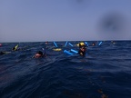 Snorkeling the Great Barrier Reef