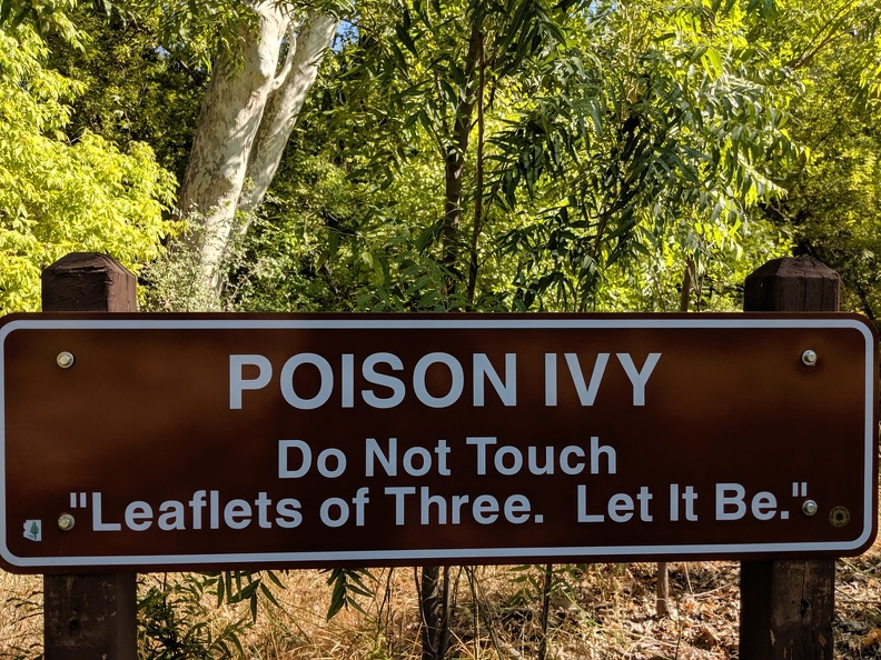 2019-09-14 09.46.37.jpg