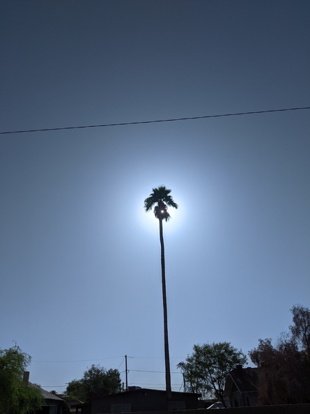 2021-05-02 08.12.07.jpg