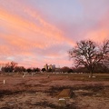 Dawn at East Mount Cemetery