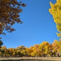 Canyon de Chelly