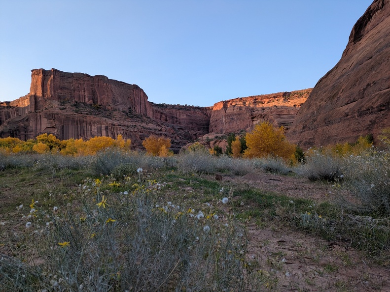 2025-11-05 07.32.25.jpg